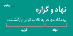 نهاد و گزاره در فارسی